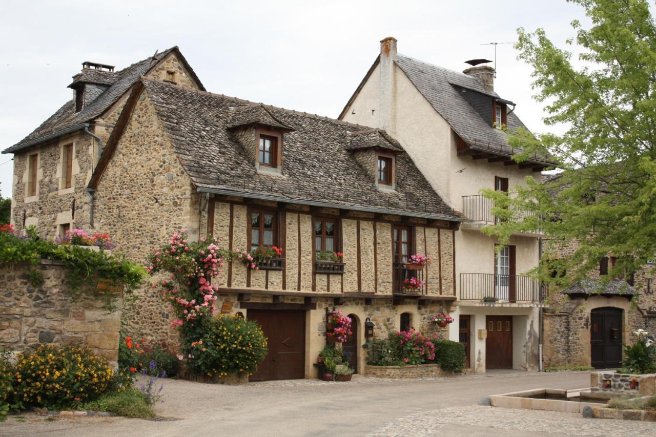 Chateau Ricard Saint-Geniez-dʼOlt Extérieur photo