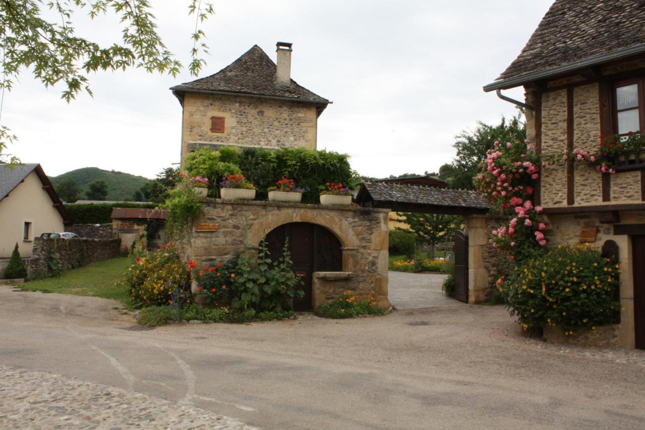 Chateau Ricard Saint-Geniez-dʼOlt Extérieur photo